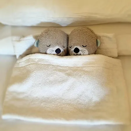 Corsaro Etna Hotel&spa Hotel 4*